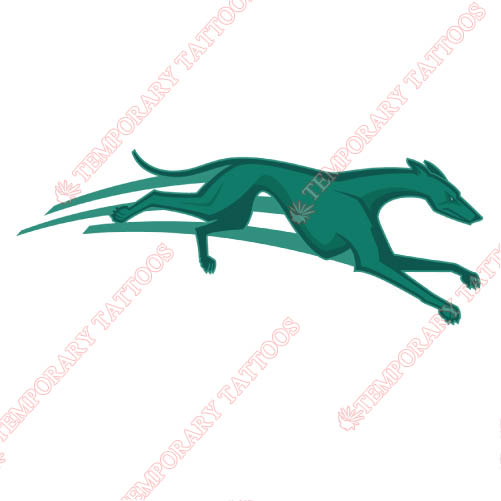 Loyola Maryland Greyhounds Customize Temporary Tattoos Stickers NO.4889